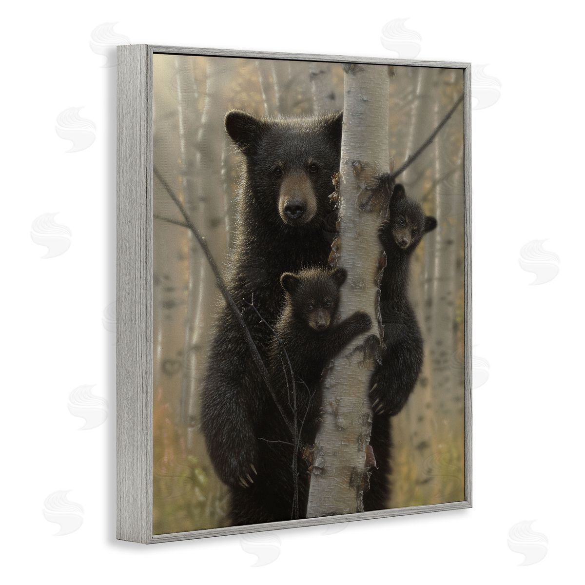 Collin Bogle Mama Bear Behind Tree Canvas Wall Art Print