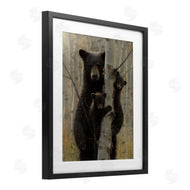 Collin Bogle | Mama Bear Behind Tree