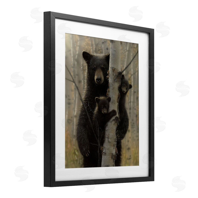 Collin Bogle | Mama Bear Behind Tree