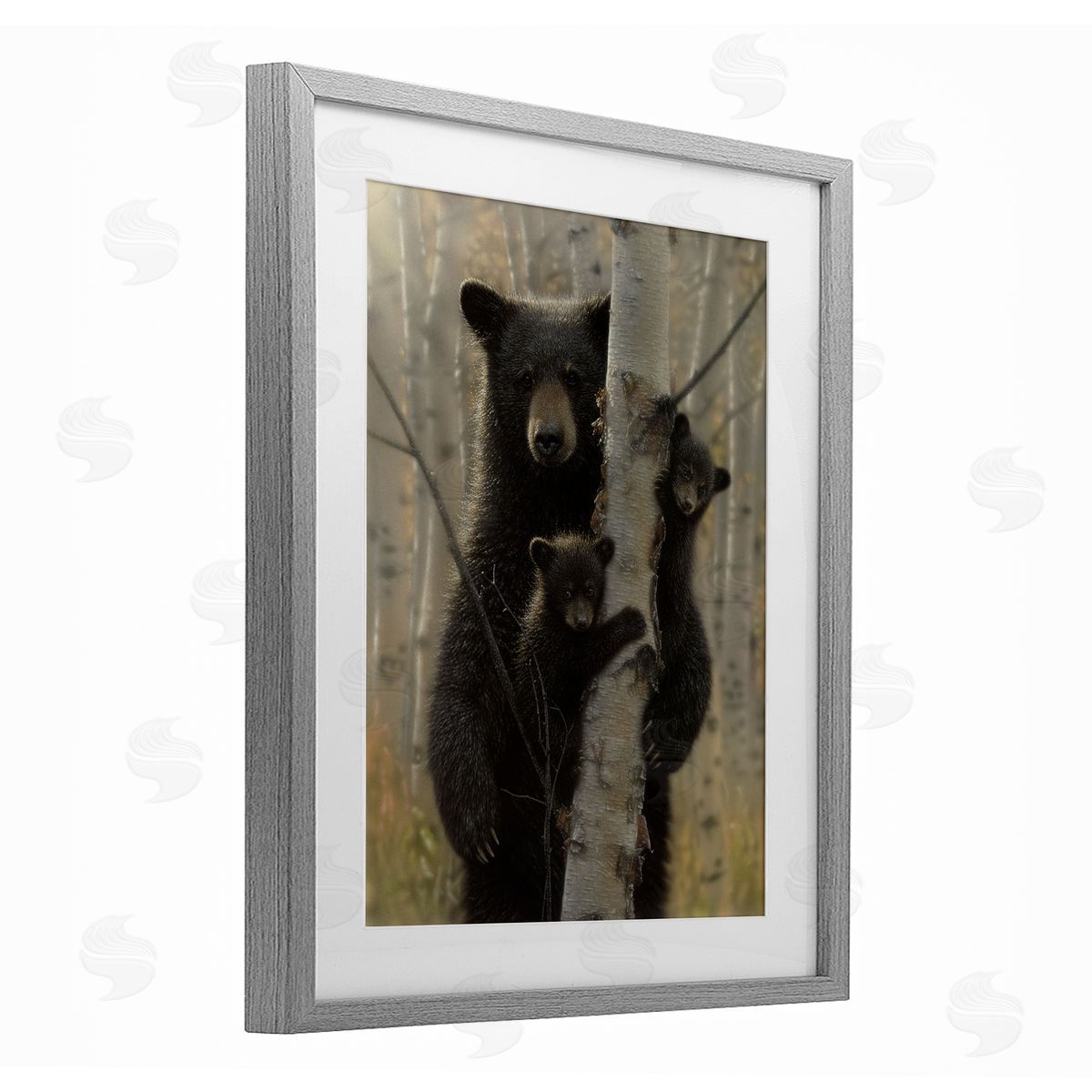 Collin Bogle Mama Bear Behind Tree Canvas Wall Art Print