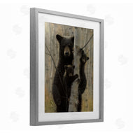 Collin Bogle | Mama Bear Behind Tree