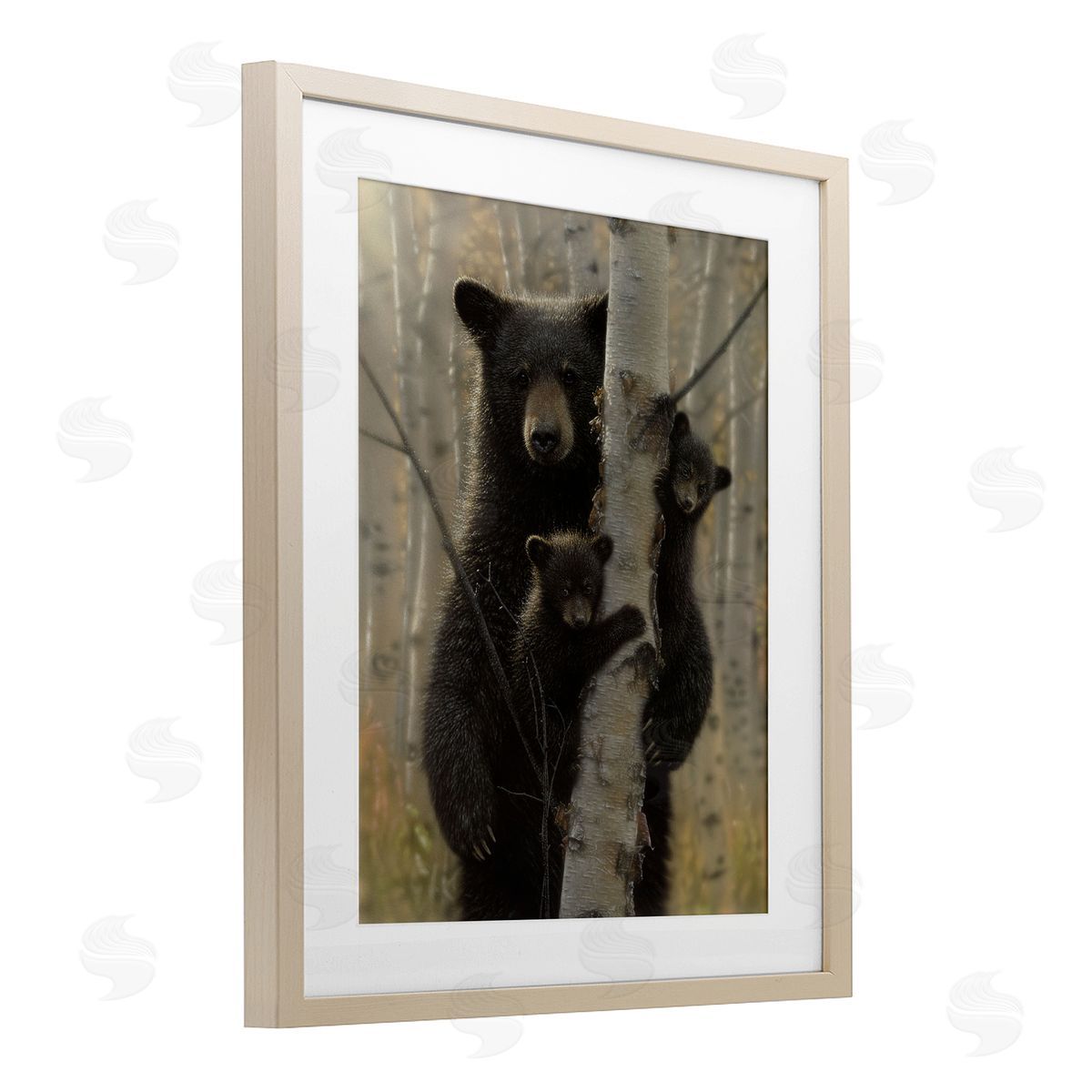 Collin Bogle Mama Bear Behind Tree Canvas Wall Art Print
