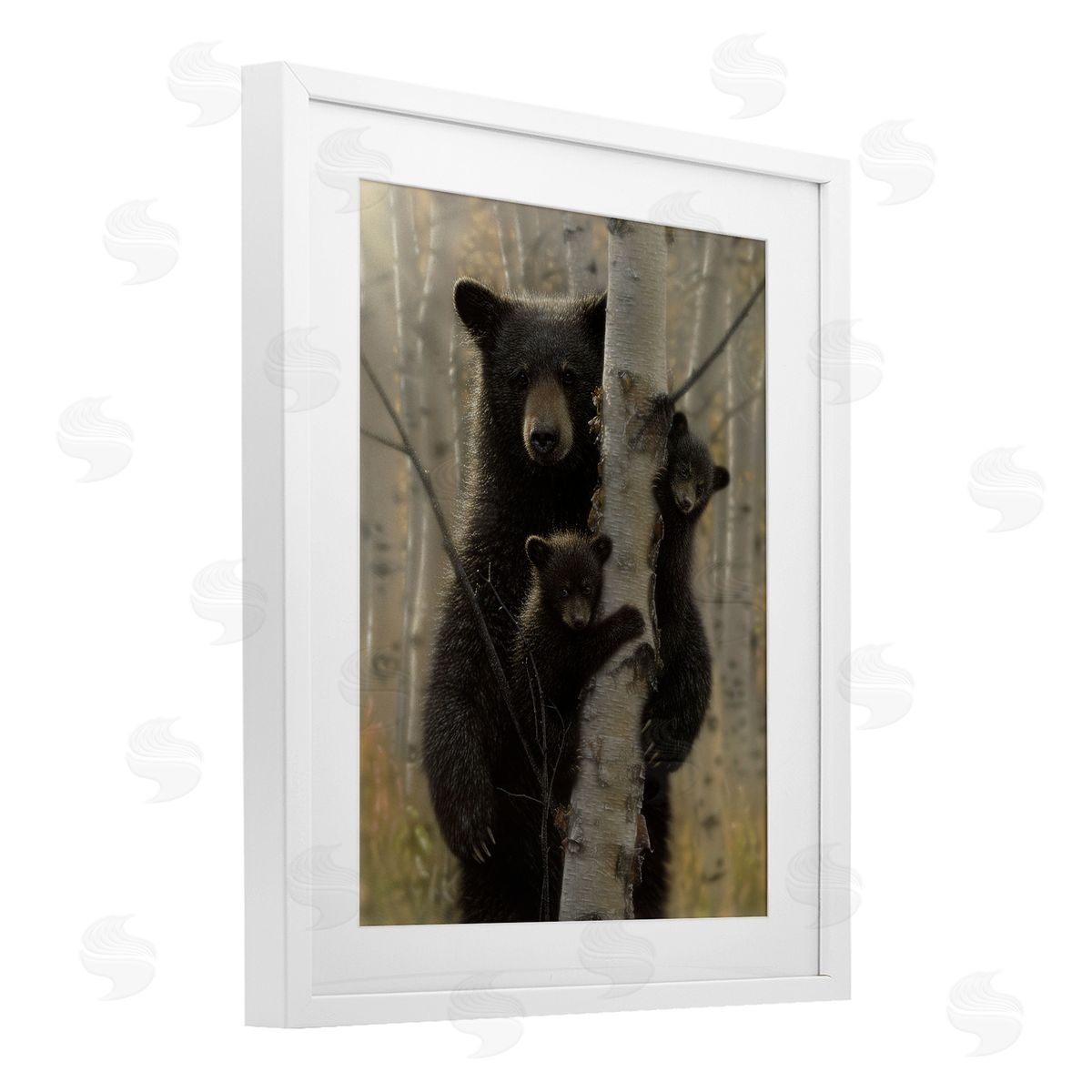 Collin Bogle Mama Bear Behind Tree Canvas Wall Art Print