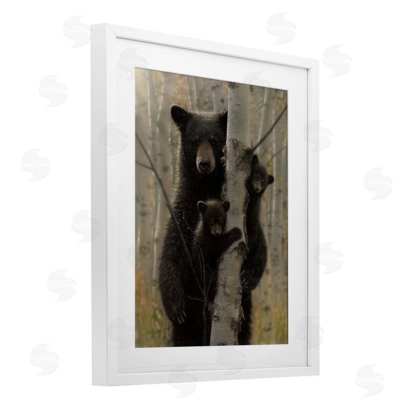 Collin Bogle | Mama Bear Behind Tree