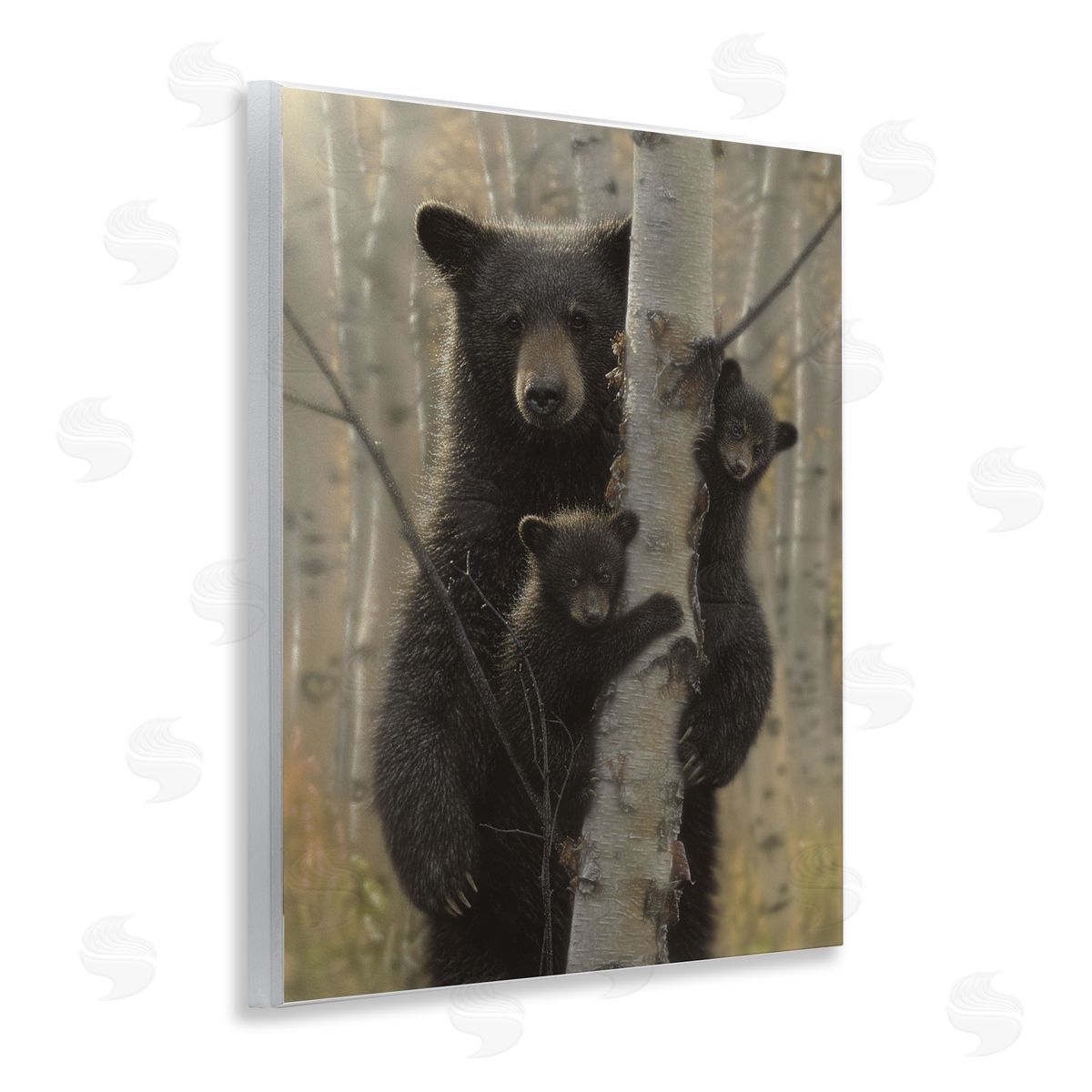 Collin Bogle Mama Bear Behind Tree Canvas Wall Art Print