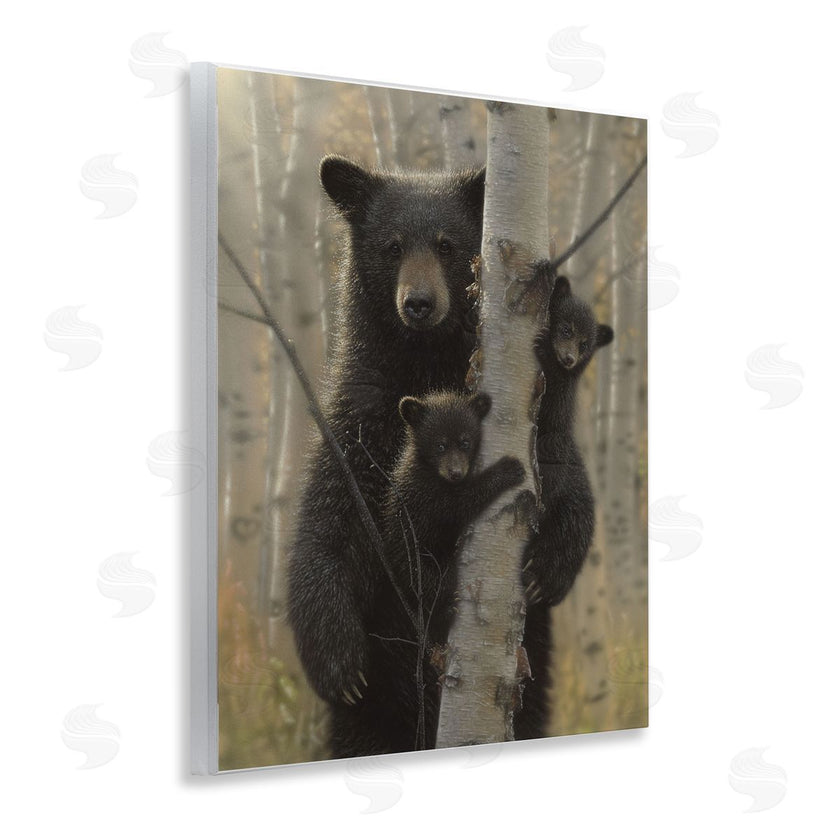 Collin Bogle | Mama Bear Behind Tree