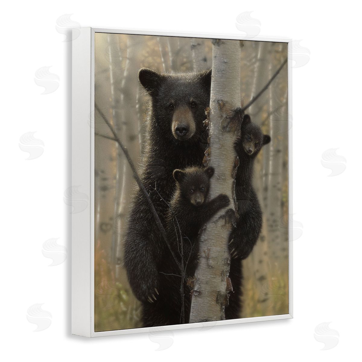 Collin Bogle Mama Bear Behind Tree Canvas Wall Art Print