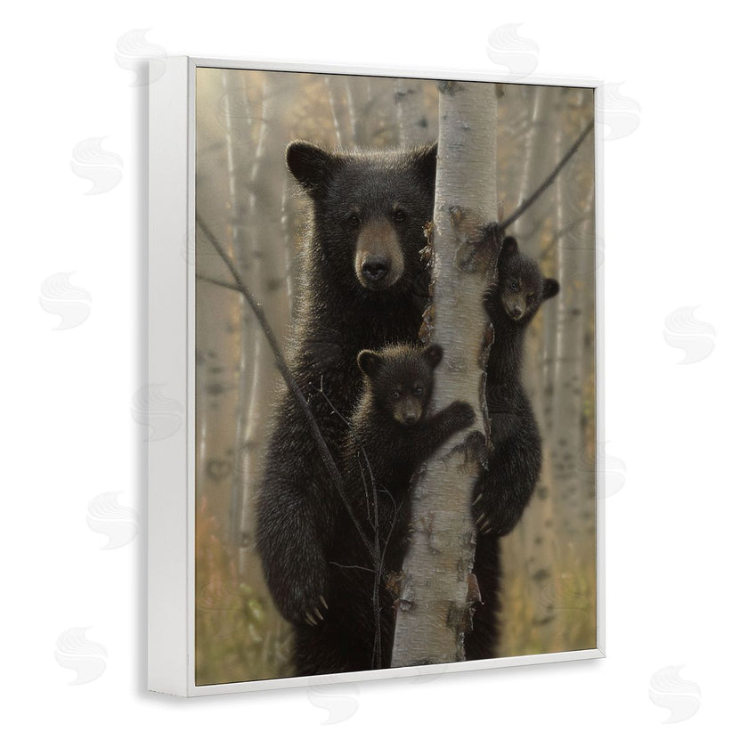 Collin Bogle | Mama Bear Behind Tree