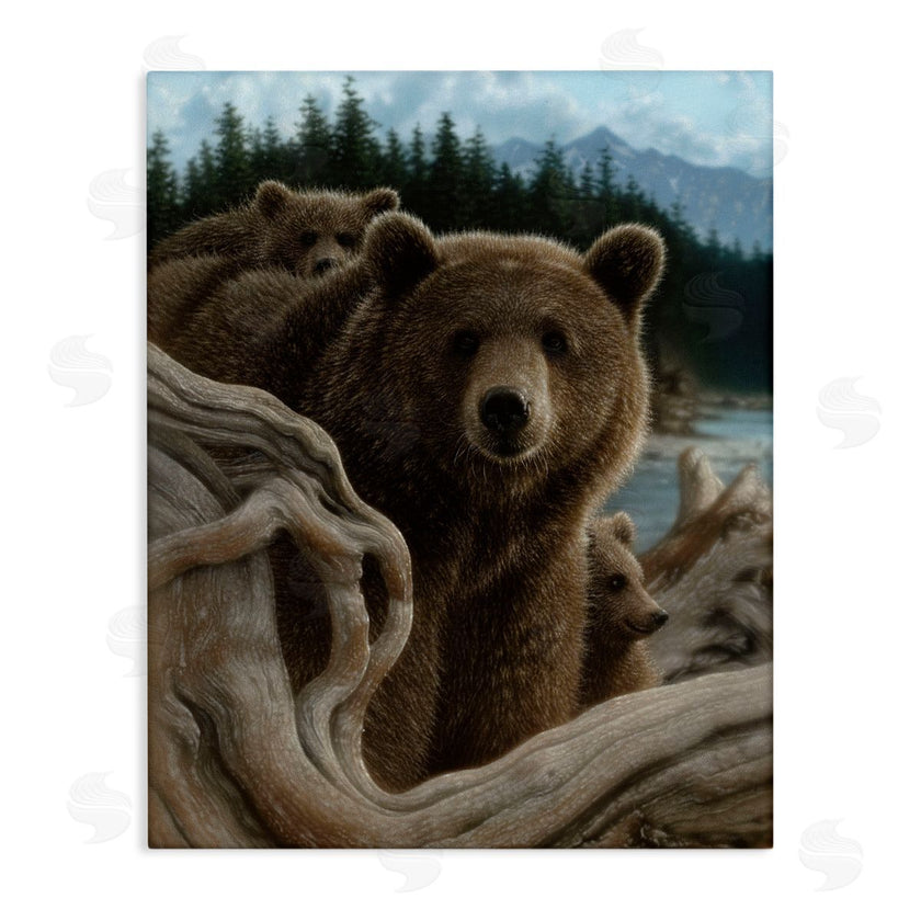Collin Bogle | Backpacking Mother Bear