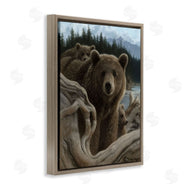 Collin Bogle | Backpacking Mother Bear