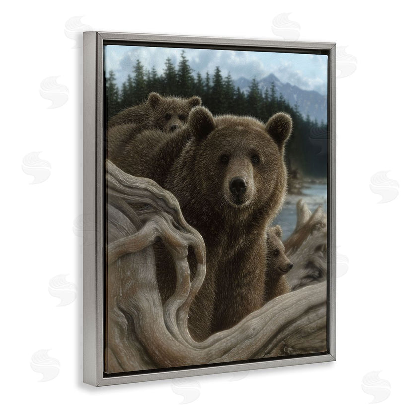 Collin Bogle | Backpacking Mother Bear