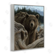 Collin Bogle | Backpacking Mother Bear