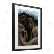 Collin Bogle | Backpacking Mother Bear