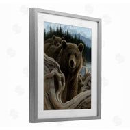 Collin Bogle | Backpacking Mother Bear