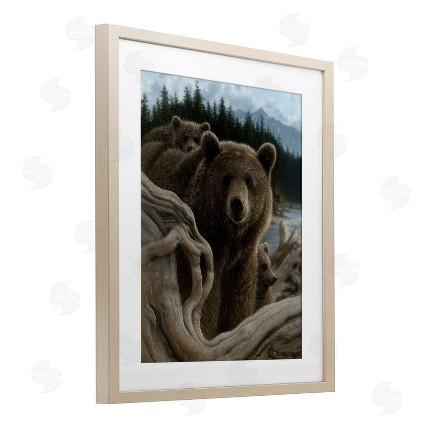 Collin Bogle | Backpacking Mother Bear