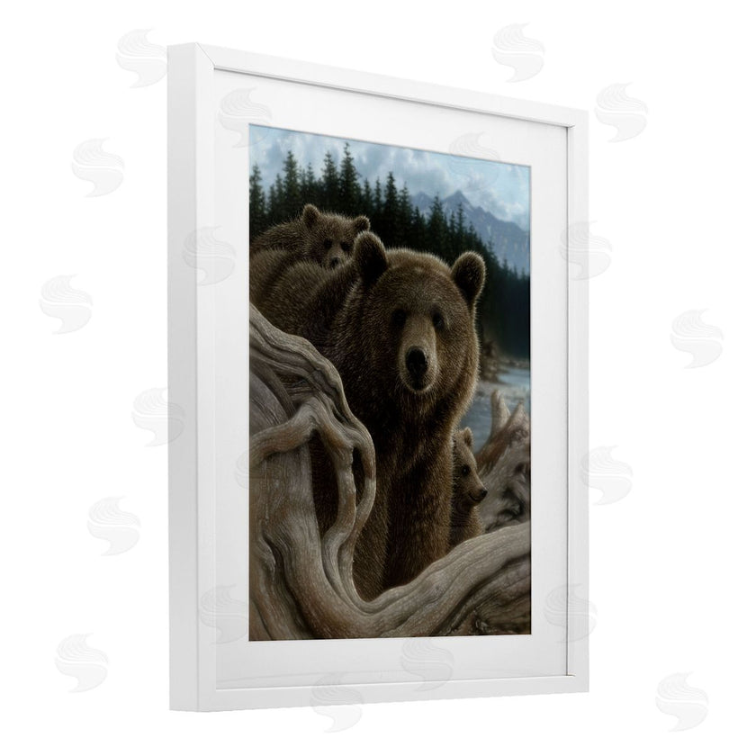 Collin Bogle | Backpacking Mother Bear