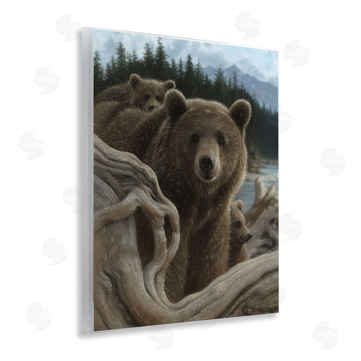 Collin Bogle Backpacking Mother Bear Canvas Wall Art Print