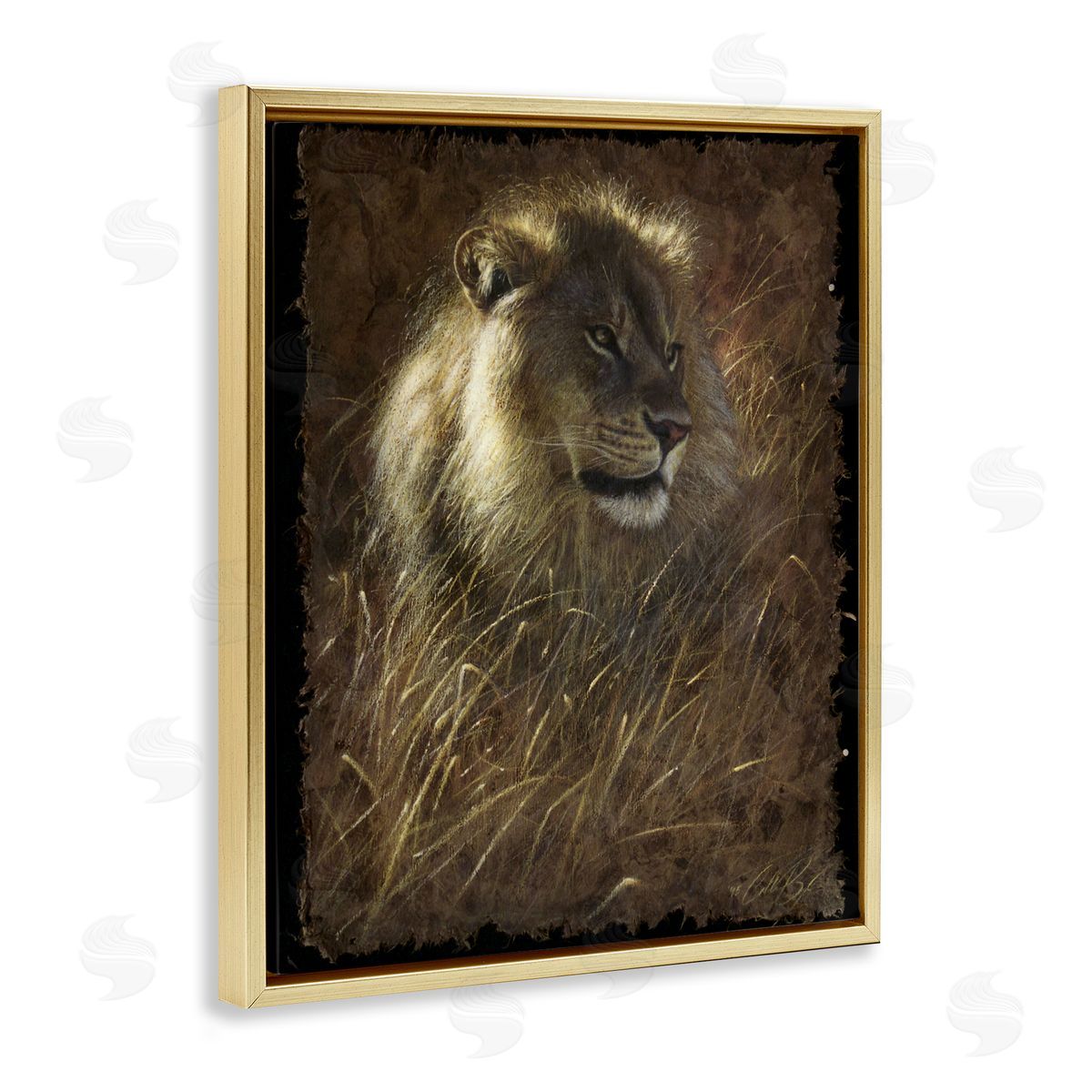 Collin Bogle Lion On Rustic Bark Canvas Wall Art Print