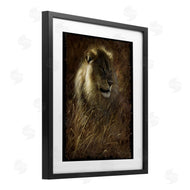 Collin Bogle | Lion On Rustic Bark