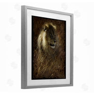 Collin Bogle | Lion On Rustic Bark