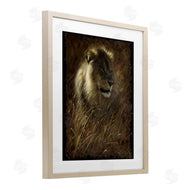Collin Bogle | Lion On Rustic Bark
