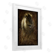 Collin Bogle | Lion On Rustic Bark