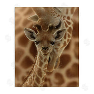 Collin Bogle | Newborn Giraffe Calf