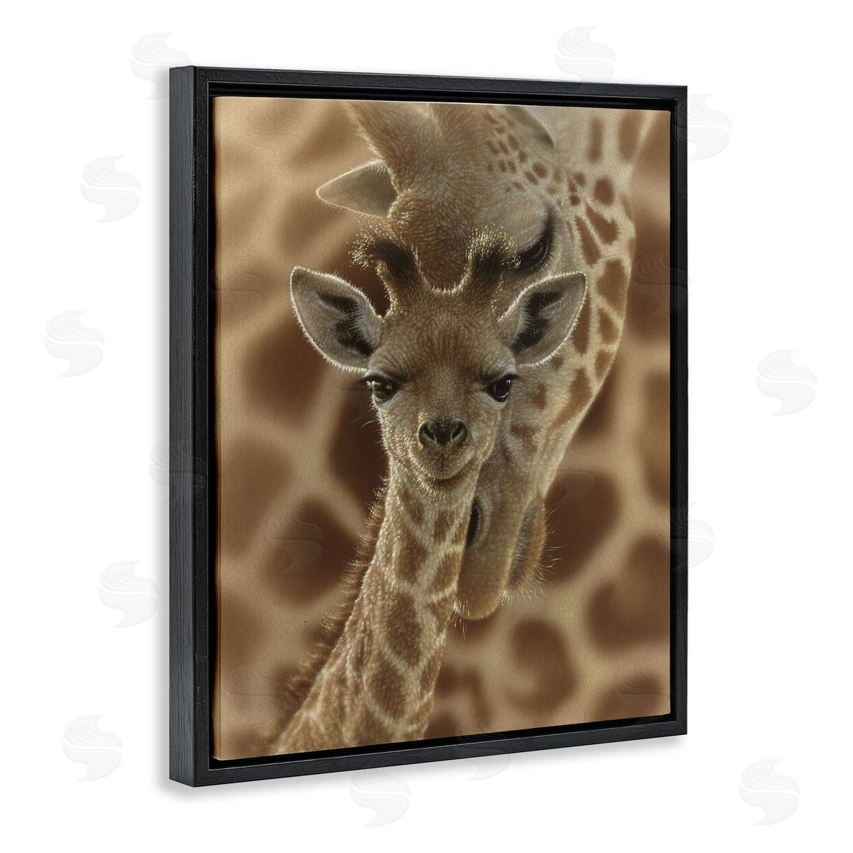 Collin Bogle Newborn Giraffe Calf Canvas Wall Art Print