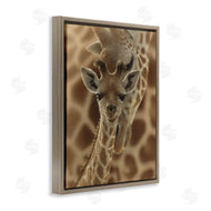 Collin Bogle | Newborn Giraffe Calf