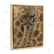 Collin Bogle | Newborn Giraffe Calf