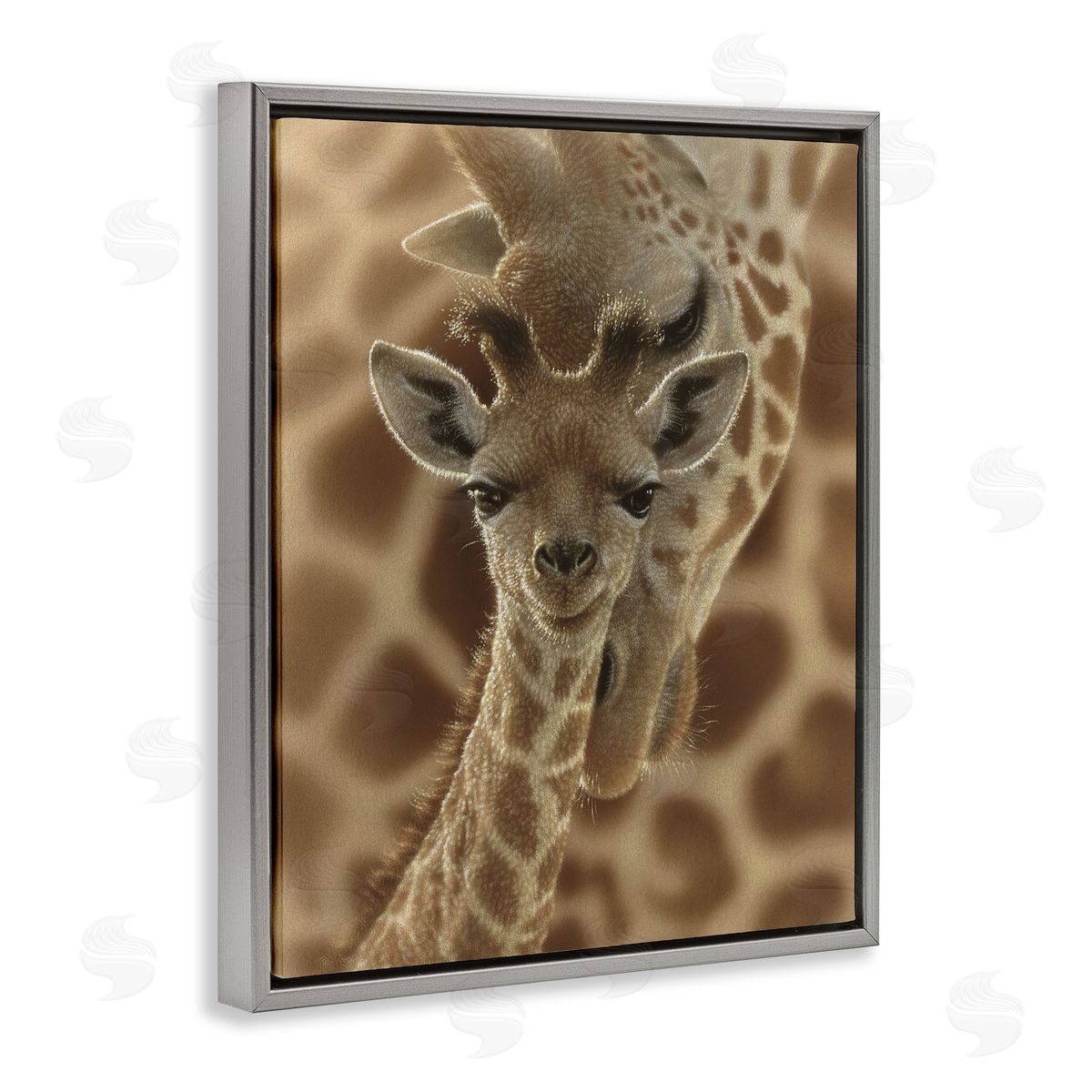 Collin Bogle Newborn Giraffe Calf Canvas Wall Art Print