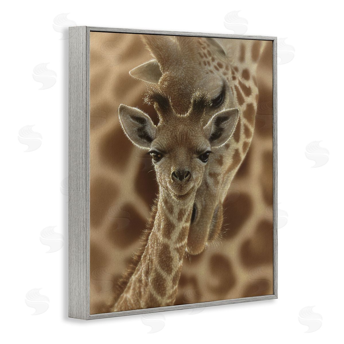 Collin Bogle Newborn Giraffe Calf Canvas Wall Art Print