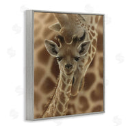 Collin Bogle | Newborn Giraffe Calf