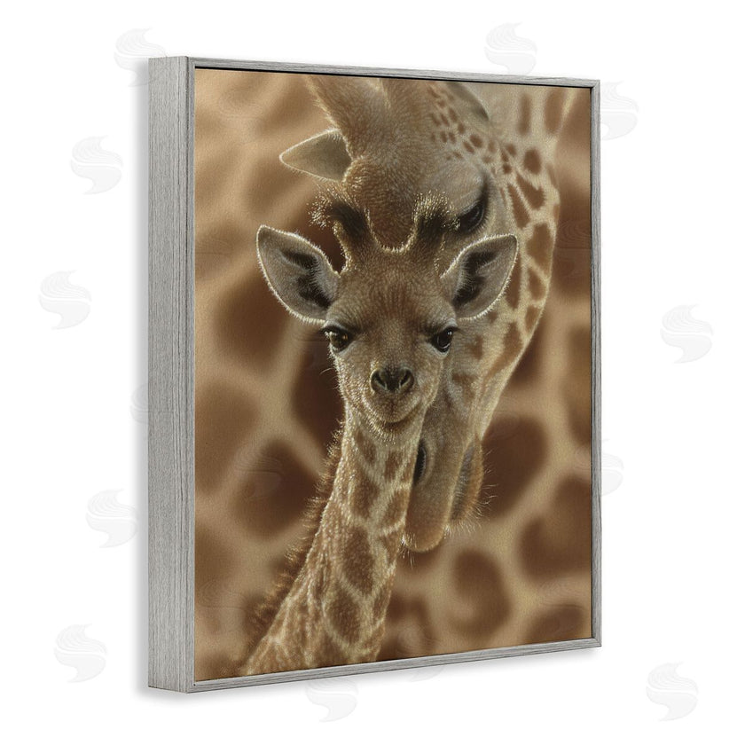 Collin Bogle | Newborn Giraffe Calf