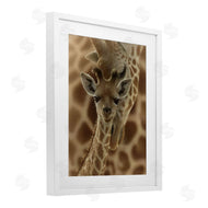 Collin Bogle | Newborn Giraffe Calf