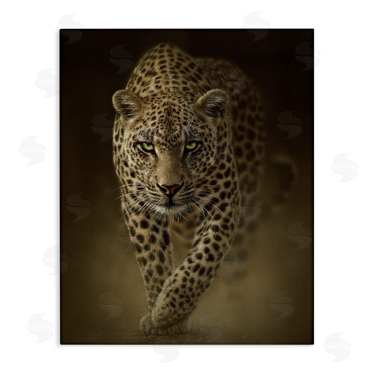 Collin Bogle Savage Leopard Predator Canvas Wall Art Print