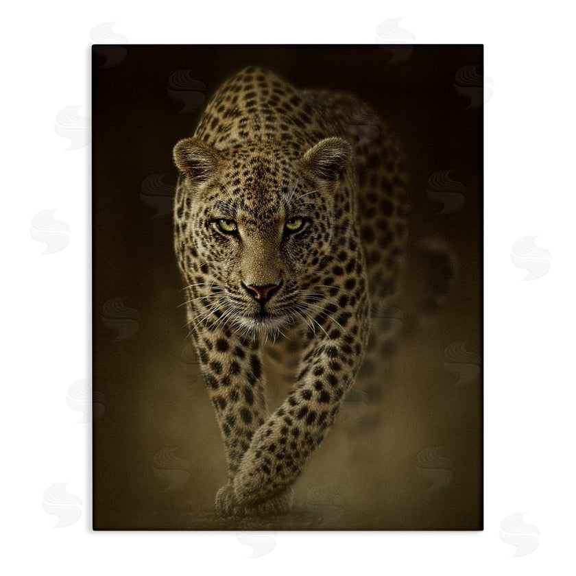 Collin Bogle | Savage Leopard Predator