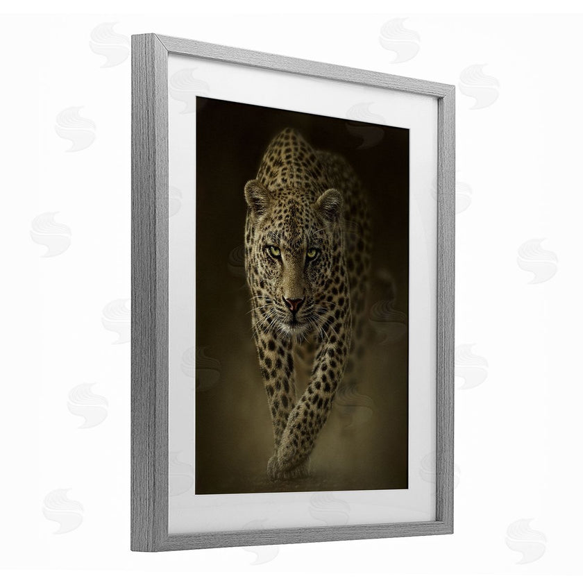 Collin Bogle | Savage Leopard Predator
