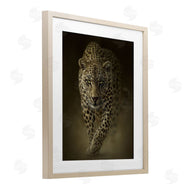 Collin Bogle | Savage Leopard Predator