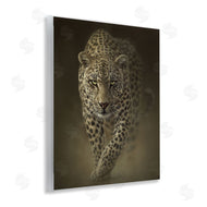 Collin Bogle | Savage Leopard Predator