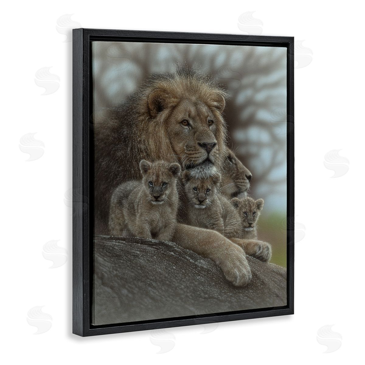 Collin Bogle Family Man Lion Cubs Canvas Wall Art Print