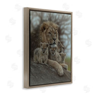 Collin Bogle | Family Man Lion Cubs