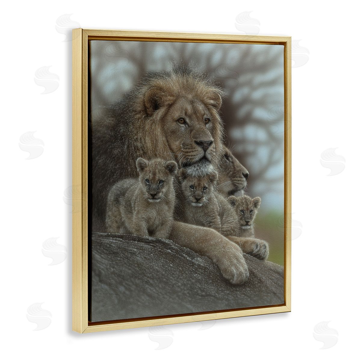 Collin Bogle Family Man Lion Cubs Canvas Wall Art Print