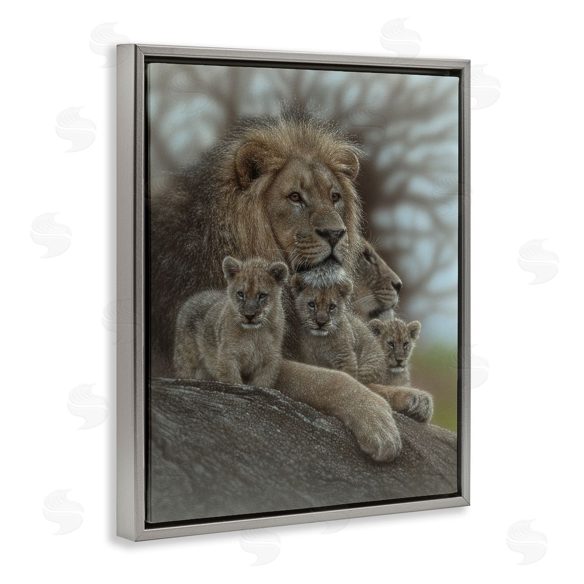 Collin Bogle Family Man Lion Cubs Canvas Wall Art Print