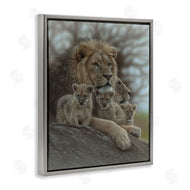 Collin Bogle | Family Man Lion Cubs