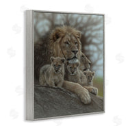 Collin Bogle | Family Man Lion Cubs