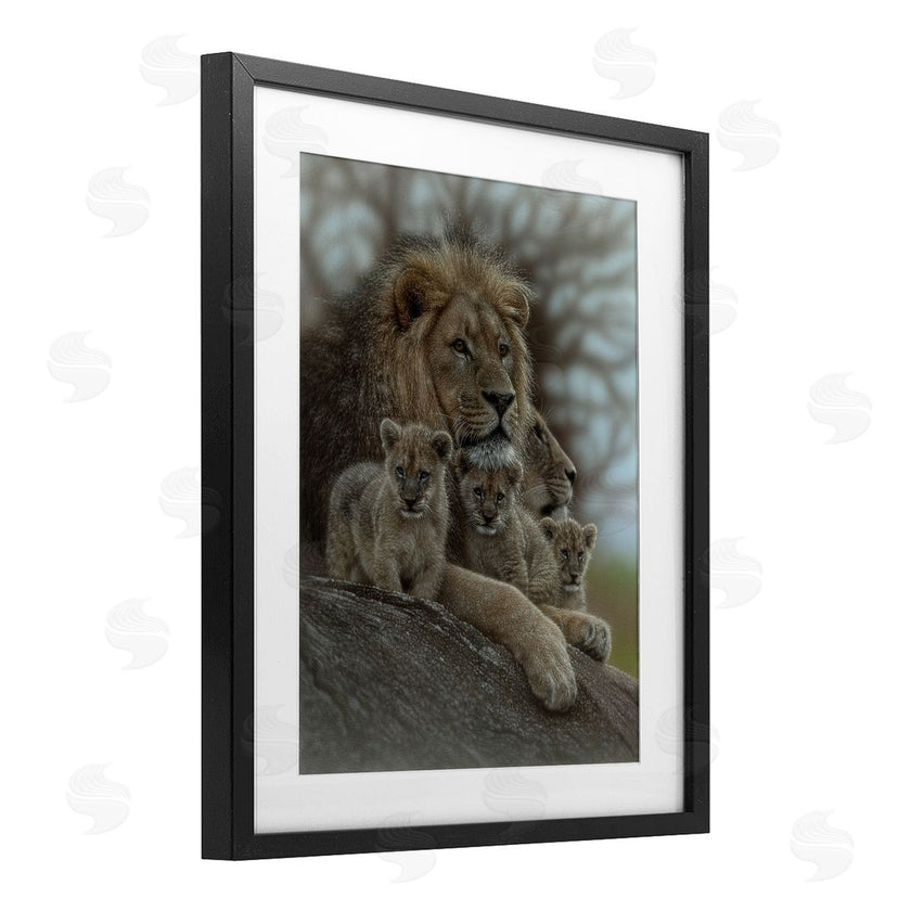 Collin Bogle | Family Man Lion Cubs
