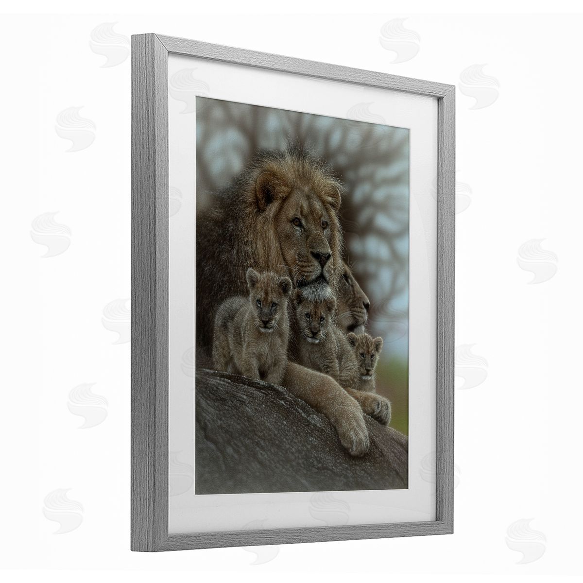 Collin Bogle Family Man Lion Cubs Canvas Wall Art Print