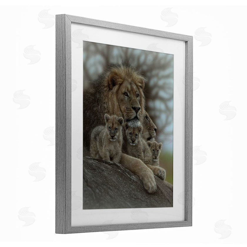 Collin Bogle | Family Man Lion Cubs