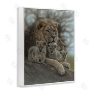 Collin Bogle | Family Man Lion Cubs